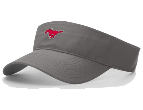Performance Visor in Grey
