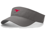 Performance Visor in Grey